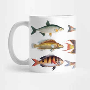 Goldfish pattern Mug